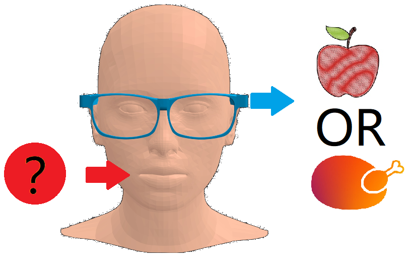Towards entry "Seminar: Classifying food texture using vibration eyeglasses"