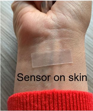 Towards entry "Seminar: Flexible and stretchable piezoelectric sensor"
