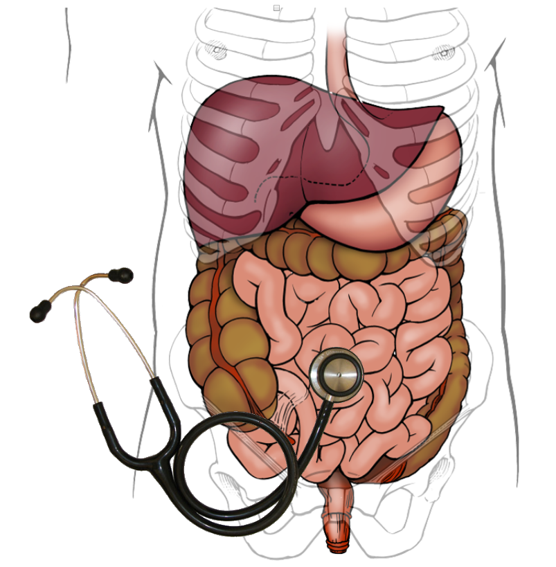 Towards entry "Seminar: Developing a bowel sound detector"