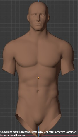 Towards entry "Seminar/Thesis: Automated 3D body landmarks detection"