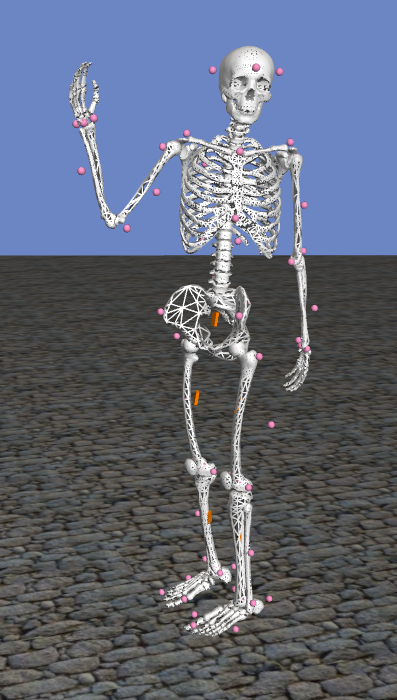 Towards entry "Thesis: 3D motion modeling from wearables"