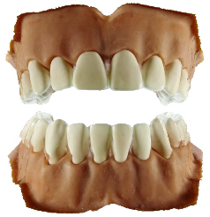Towards entry "Thesis: Online 3D Denture Reconstruction with ML-Edge Computing"